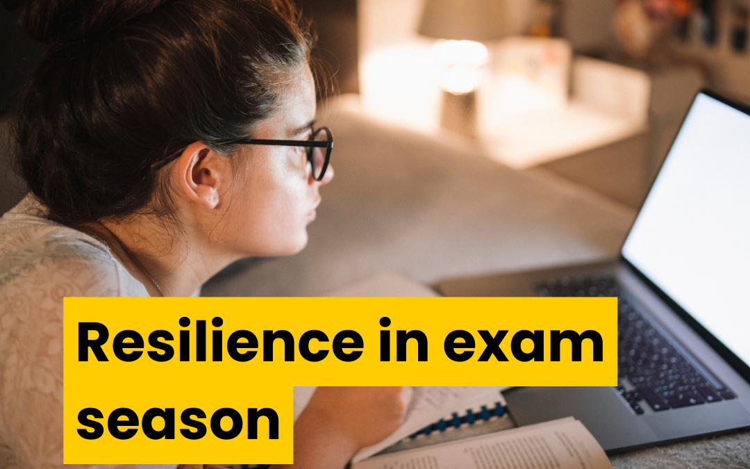 Young woman stares at computer screen late at night. She's taking notes and has an open textbook. She looks very serious. Text reads resilience in exam season