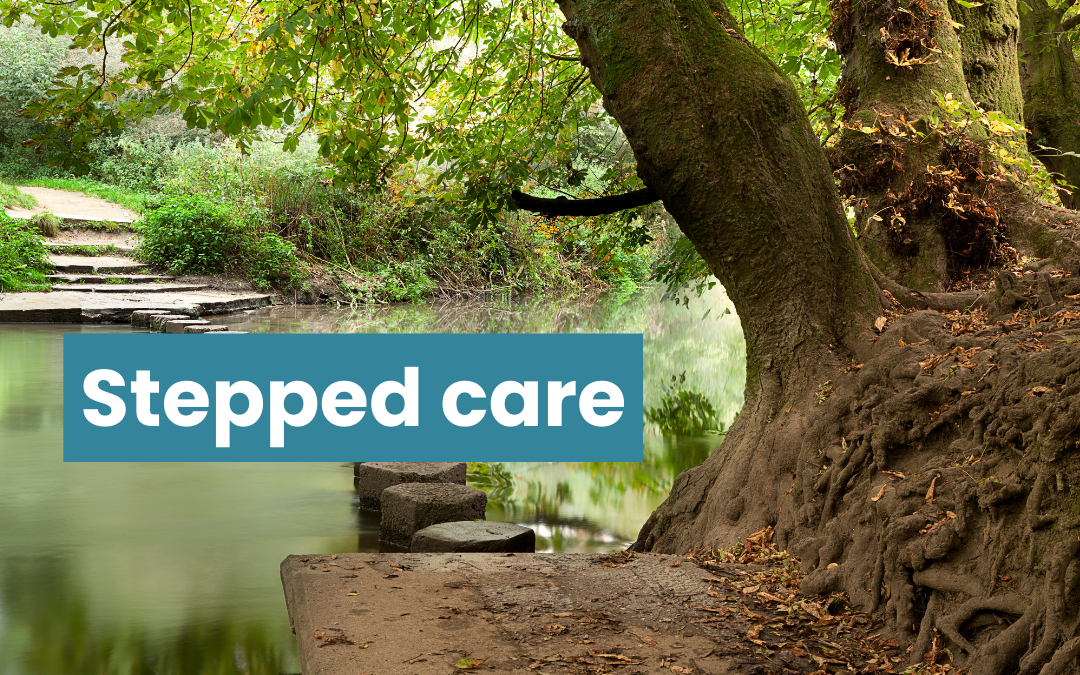 Stepping stones across a lake in a forest. Text reads stepped care